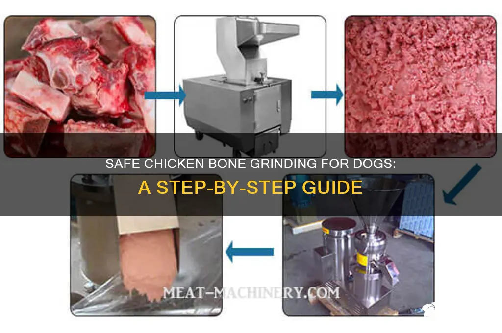 how to grind chicken bones for dogs