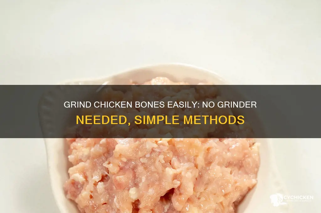 how to grind chicken bones without a grinder
