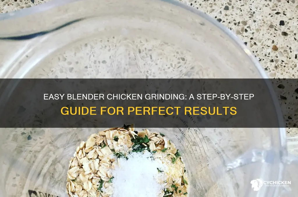 how to grind chicken in a blender