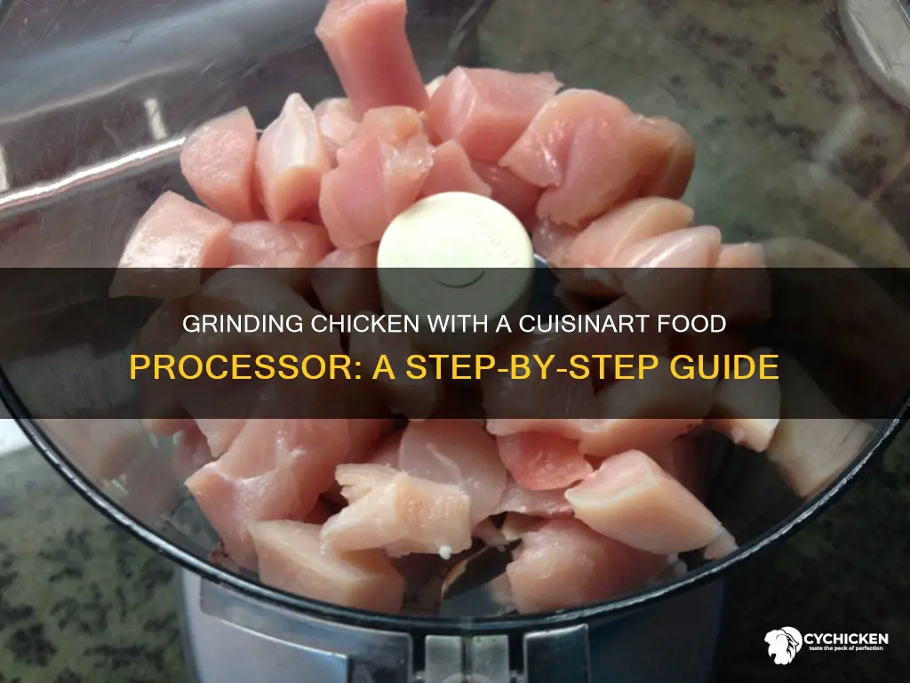 how to grind chicken in a cuisinart food processor