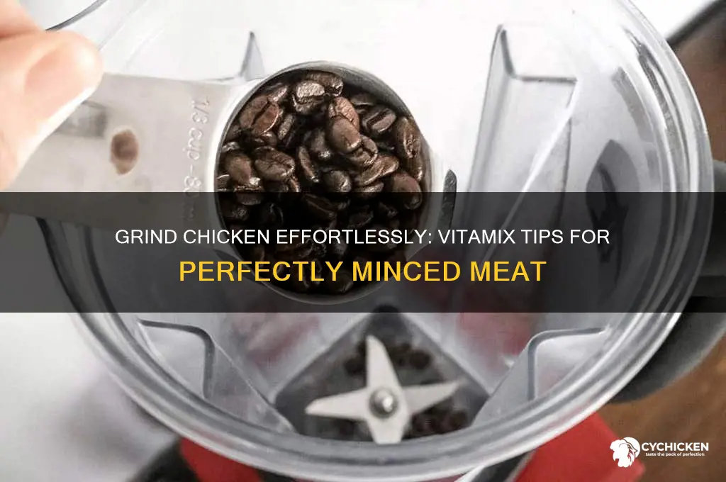 how to grind chicken in a vitamix