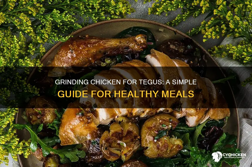 how to grind up chicken for tegus