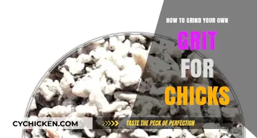 DIY Chick Grit Grinding: A Simple Guide for Healthy Chicks