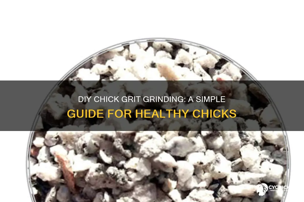 how to grind your own grit for chicks