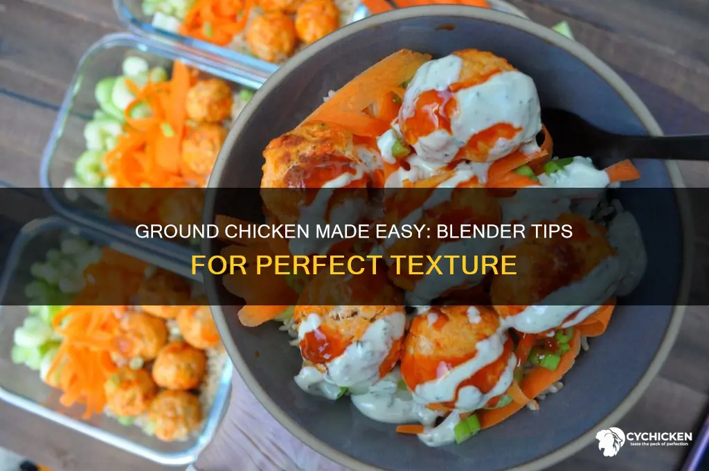 how to ground chicken in a blender
