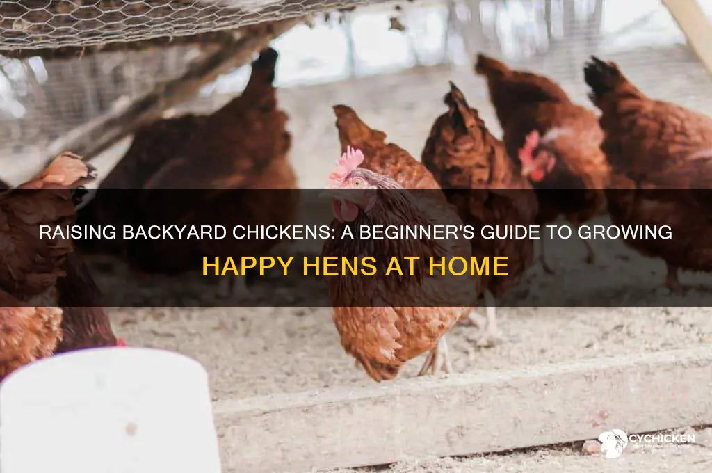how to grow a chicken at home