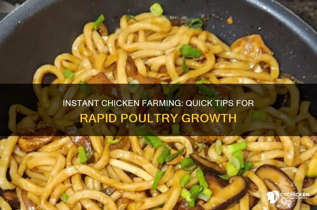 how to grow a chicken in an instant