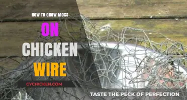 Growing Moss on Chicken Wire: Simple Steps for Lush Green Coverage
