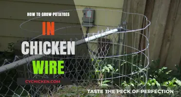 Easy Potato Growing: Using Chicken Wire for a Bountiful Harvest