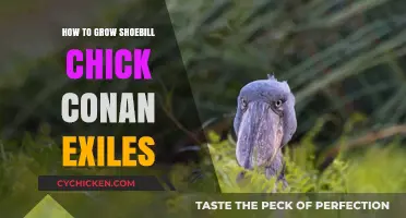 Mastering Shoebill Chick Growth in Conan Exiles: Essential Tips & Tricks