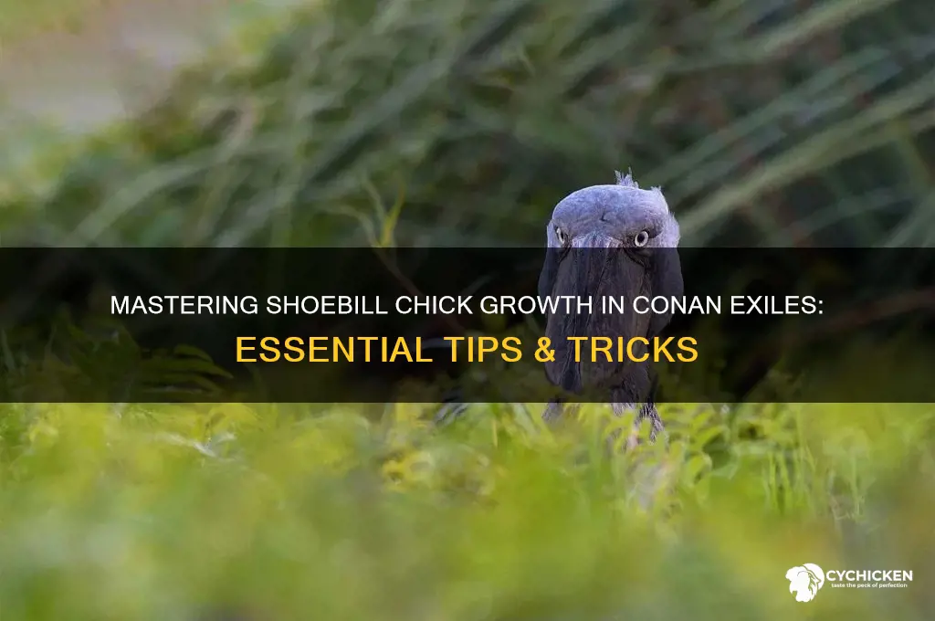 how to grow shoebill chick conan exiles