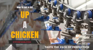 Mastering Poultry Prep: A Step-by-Step Guide to Gutting & Cutting a Chicken