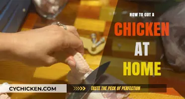 Mastering the Art of Gutting a Chicken at Home: A Step-by-Step Guide
