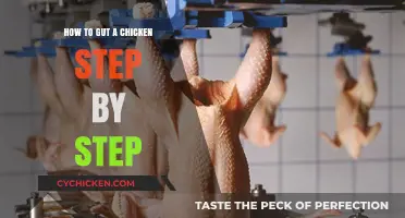 Mastering Chicken Butchery: A Step-by-Step Guide to Gutting a Chicken