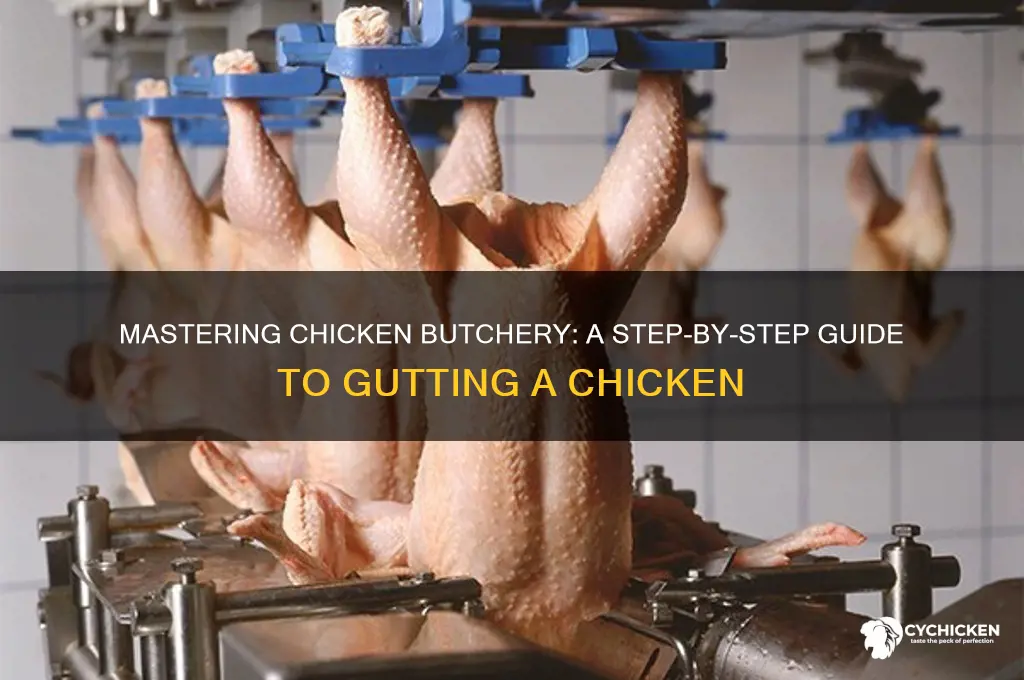 how to gut a chicken step by step