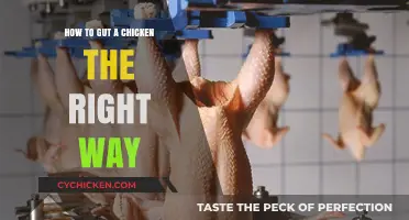 Mastering the Art of Gutting a Chicken: A Step-by-Step Guide