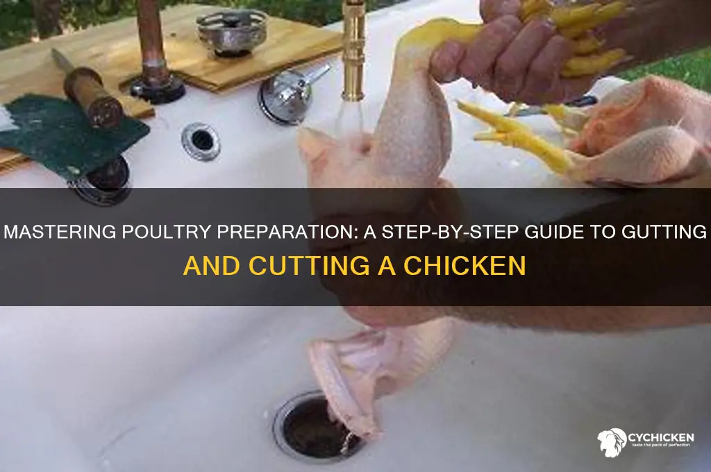 how to gut and cut up a chicken