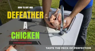 Mastering Chicken Butchery: Gutting and Defeathering Made Simple