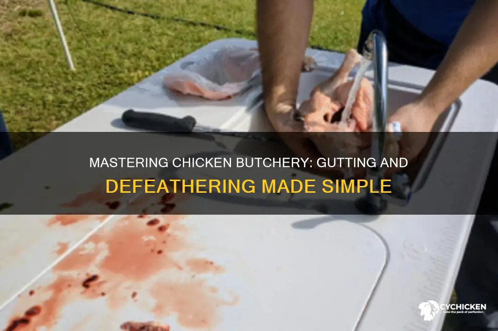 how to gut and defeather a chicken