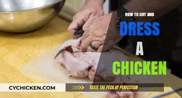 Mastering the Art of Gutting and Dressing a Chicken at Home