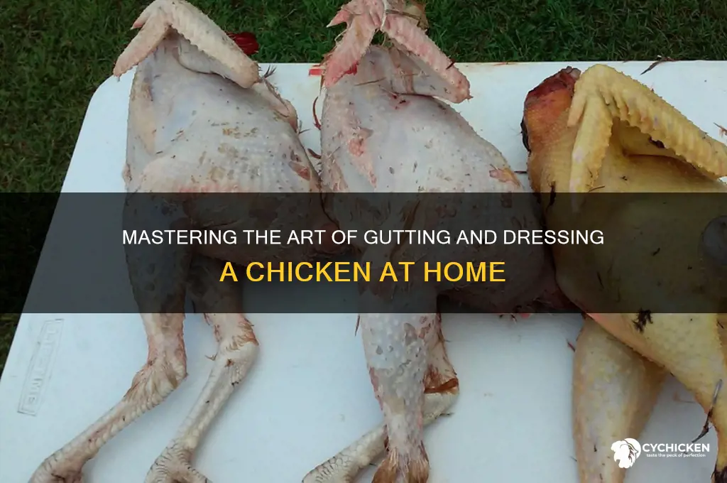 how to gut and dress a chicken