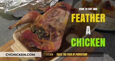 Mastering Poultry Preparation: Gutting and Feathering Chickens Step-by-Step
