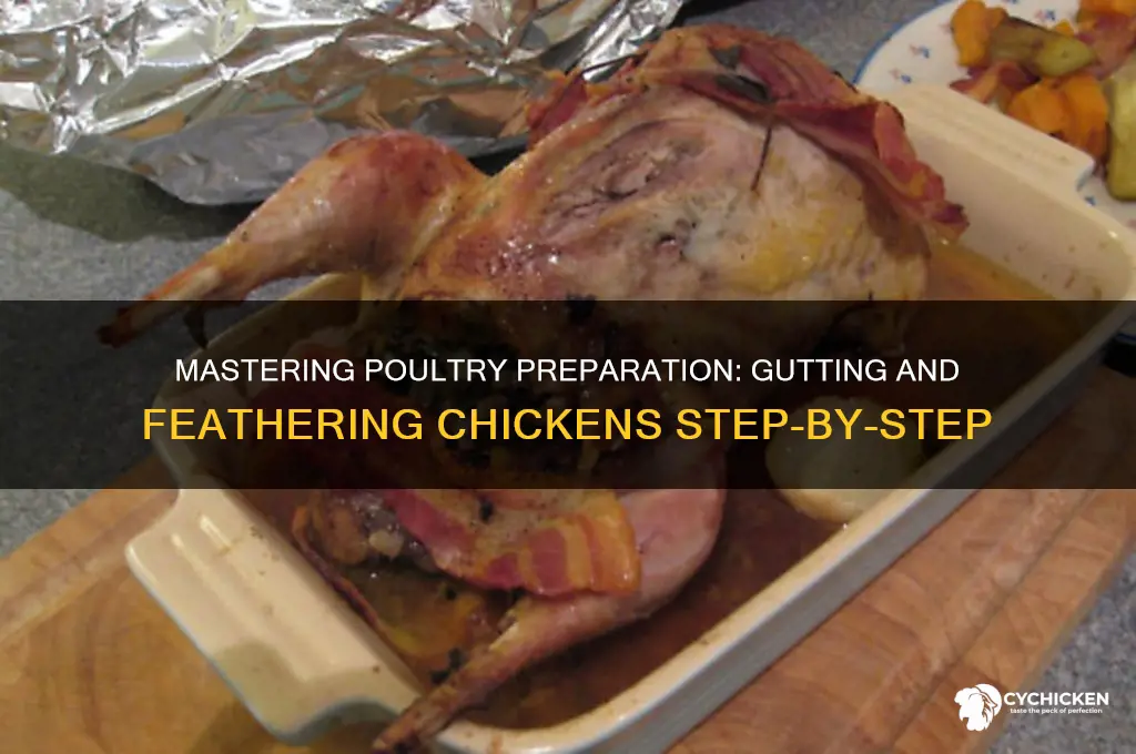 how to gut and feather a chicken