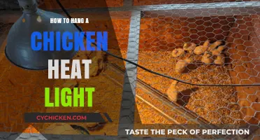 Easy Steps to Safely Hang a Chicken Heat Light in Your Coop