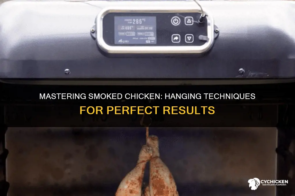 how to hang a chicken in a smoker