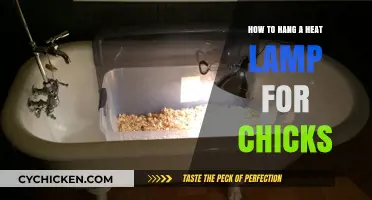 Hanging Heat Lamps for Chicks: A Step-by-Step Guide