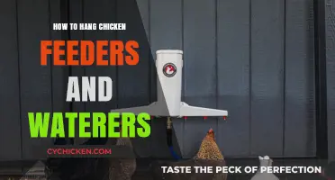 Efficiently Hang Chicken Feeders and Waterers for Happy, Healthy Flocks