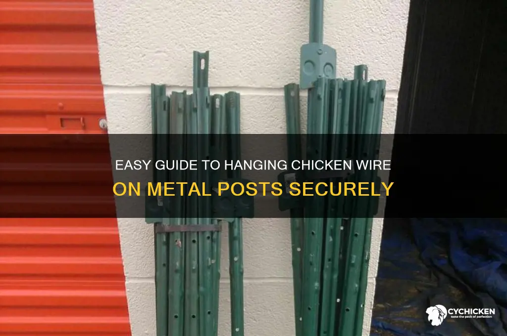 how to hang chicken wire on metal post