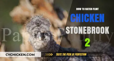 Mastering Flint Chicken Hatching in Stonebrook 2: A Step-by-Step Guide