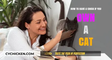 Cat Owners: Get a Chick, Do This!