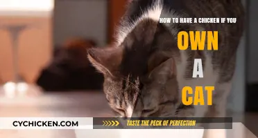 Coexisting Peacefully: Cats and Chickens in Harmony