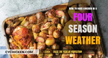 Chicken Recipes for Every Season