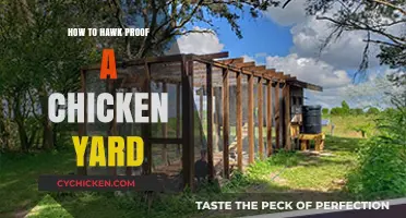 Protect Your Flock: Effective Strategies to Hawk-Proof Your Chicken Yard