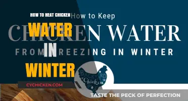 Winter Chicken Care: Effective Ways to Heat Their Water