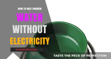 Warm Chicken Water: Creative No-Electricity Heating Solutions for Coops