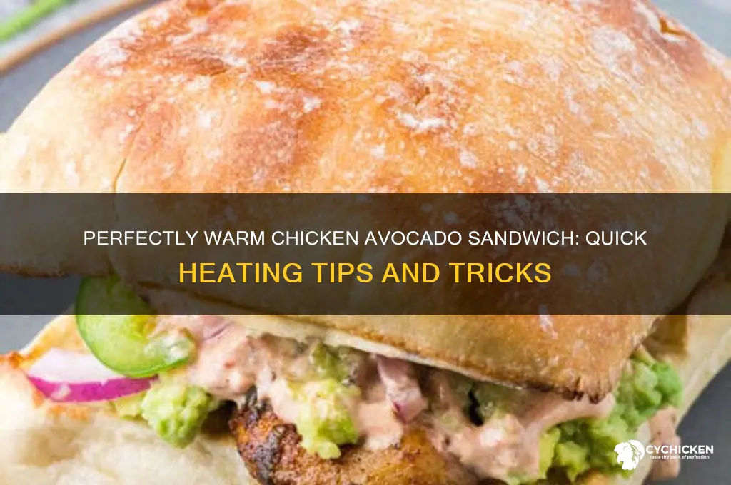 how to heat up a chicken avocado sandwich