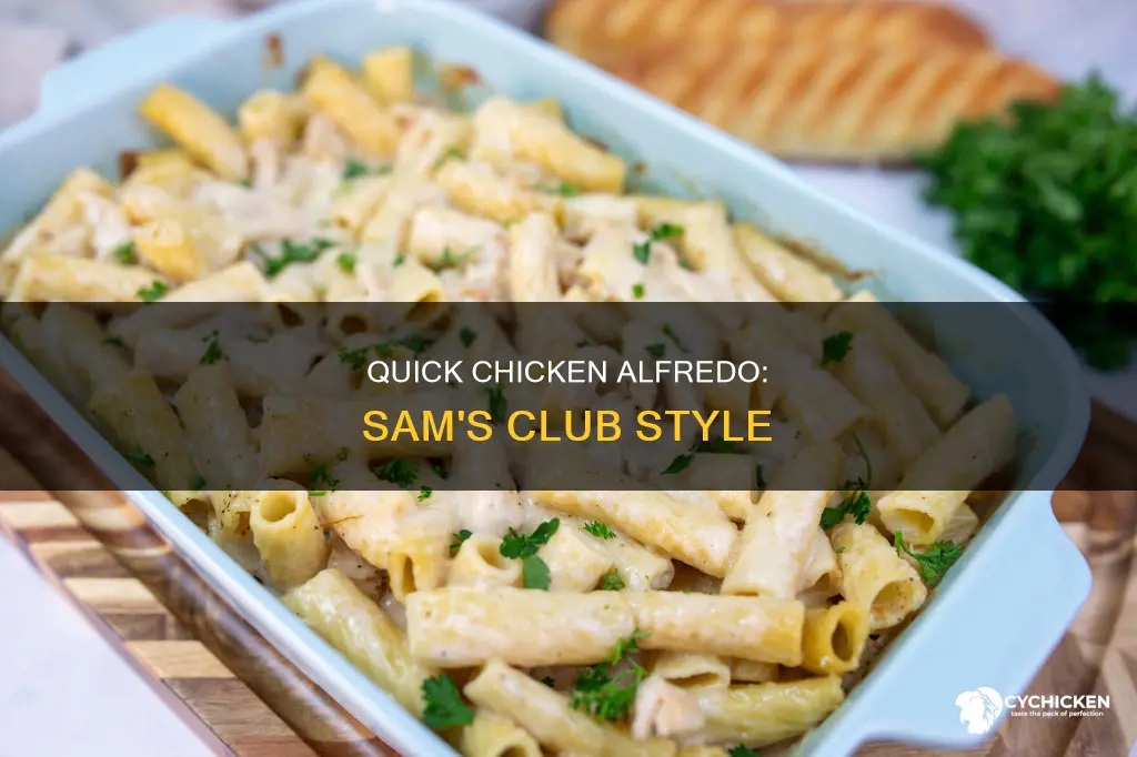 how to heat up chicken alfredo from sam