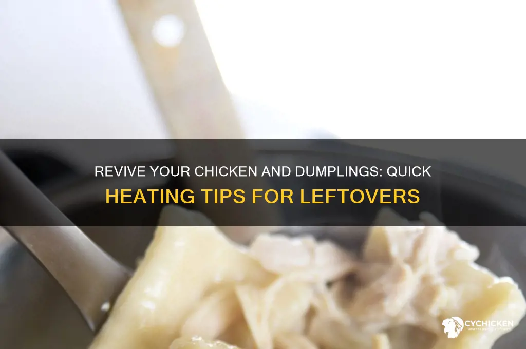 how to heat up leftover chicken and dumplings