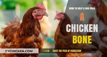 Safely Helping Your Dog Pass Chicken Bones