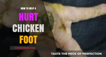 Healing Hurt Chicken Feet: A Step-by-Step Guide for Poultry Care