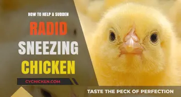 Quick Tips to Relieve Sudden Rapid Sneezing in Chickens