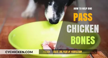 Safe Ways to Help Your Dog Pass Chicken Bones: A Guide