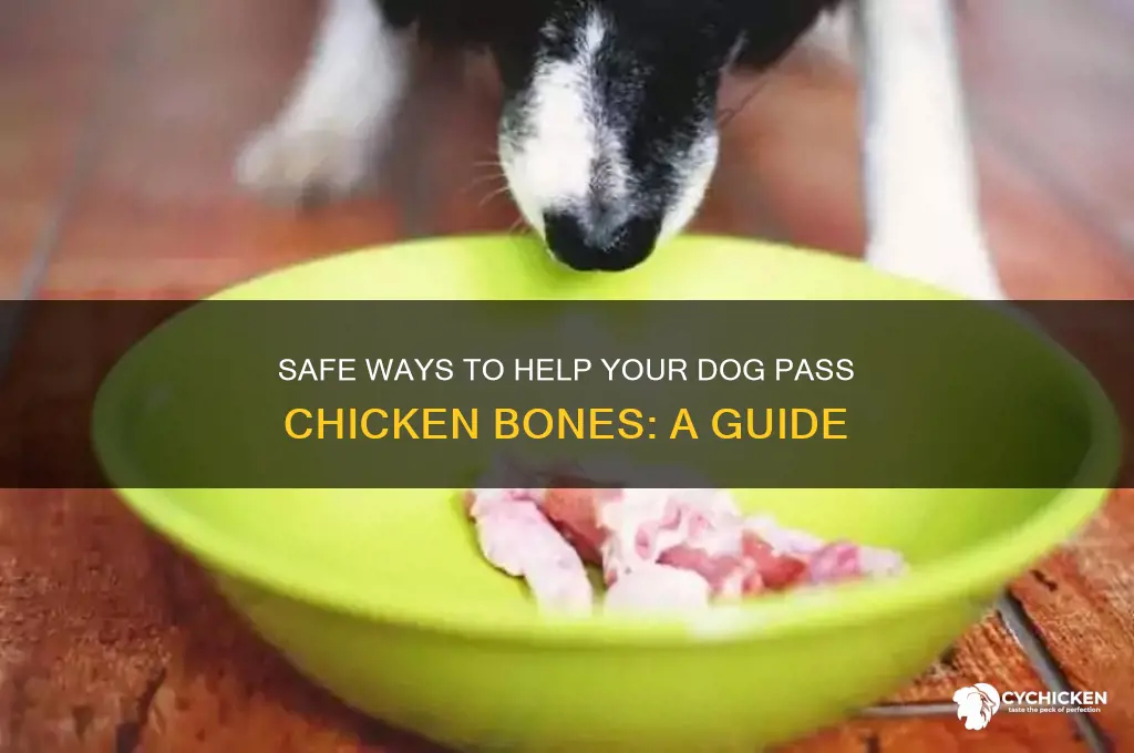 how to help dog pass chicken bones