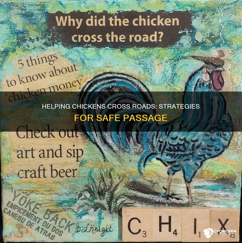 how to help the chicken cross the road stupidness 2