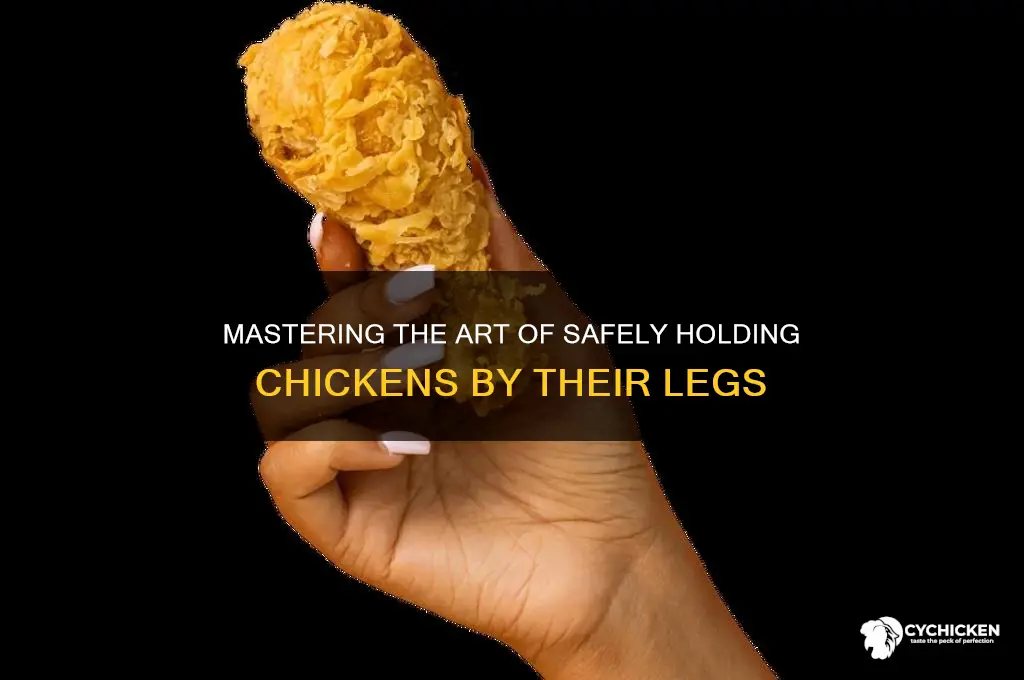 how to hold a chicken by its legs