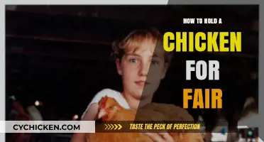 Mastering the Art of Holding a Chicken for Fair Success